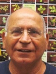 Baruch Rubin baruch-rubin