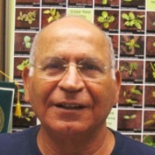 Rubin Baruch baruch-rubin_01