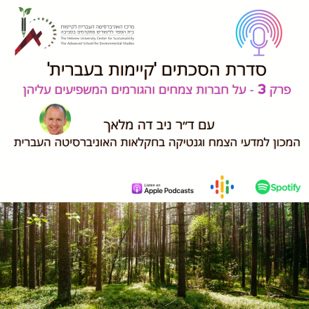 פרק 3