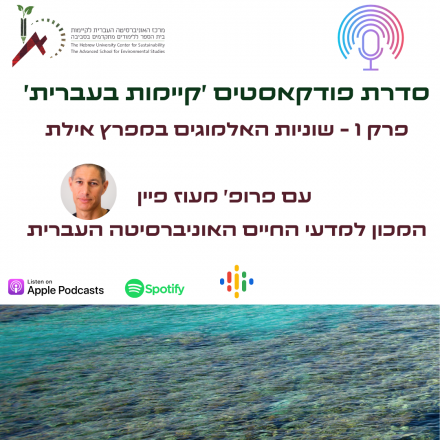 מעוז