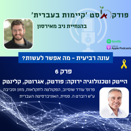פרק 6