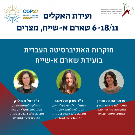 שארם
