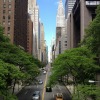 photo tree